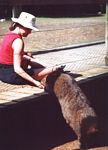 sherri_feeding_a_wombat
