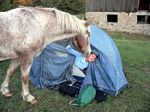 horseback_riding__oct_2005_____b__sherri_getting_early_morning_kiss_from_buddy.jpg