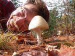 mccrae_lake__oct_2005____ron_studying_mushroom.jpg