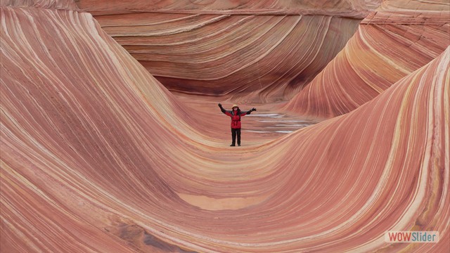 Arizona - The Wave