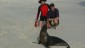 Galapagos Islands