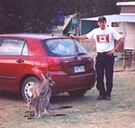 0007___kangaroo_and_brent_by_rental_car

