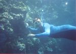 0019___great_barrier_reef__7_
