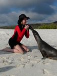 D3_Sherri_Sealion_Espanola
