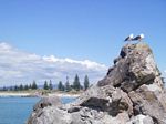 new_zealand__2007____0123
