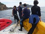 new_zealand__2007____0223
