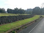 new_zealand__2007____0305
