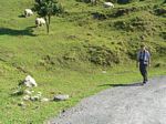 new_zealand__2007____0424
