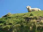 new_zealand__2007____0425
