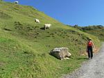 new_zealand__2007____0426
