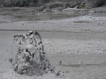 new_zealand__2007____0511___mud_pool
