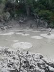 new_zealand__2007____0513
