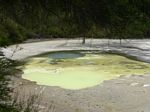 new_zealand__2007____0516
