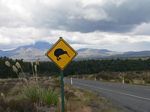 new_zealand__2007____0621

