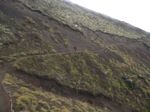 new_zealand__2007____0713
