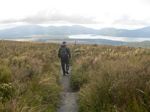 new_zealand__2007____0717
