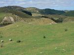 new_zealand__2007____0805
