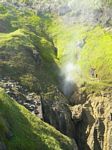 new_zealand__2007____1056
