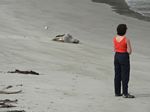new_zealand__2007____1413
