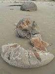 new_zealand__2007____1420
