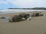 new_zealand__2007____1422
