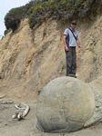 new_zealand__2007____1423
