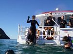 new_zealand__2007____1527
