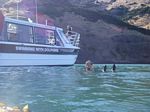 new_zealand__2007____1530
