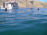 new_zealand__2007____1533
