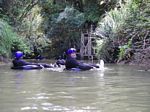 new_zealand__2007____1747
