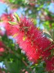 new_zealand__2007____1819

