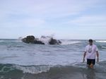 new_zealand__2007____1860

