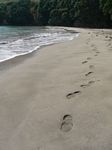 new_zealand__2007____1925
