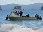 new_zealand__2007____1926
