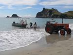 new_zealand__2007____1927
