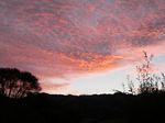 new_zealand__2007____2010___coromandel_sunrise

