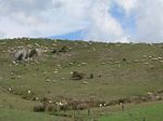 new_zealand__2007____2028
