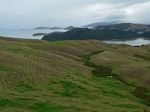 new_zealand__2007____2032
